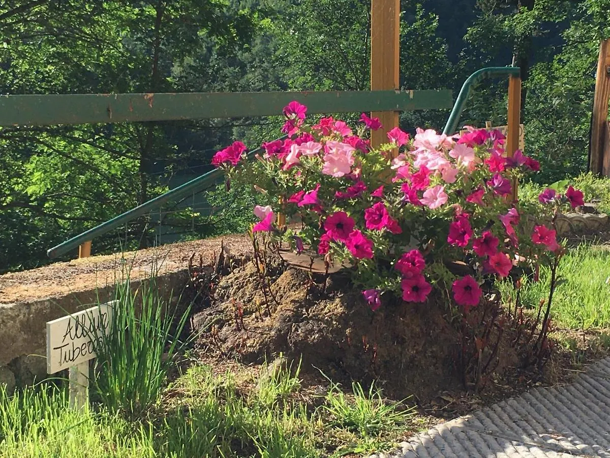 Appartamento La casa del Tiglio Borgo San Lorenzo